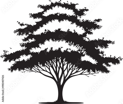 Black and white silhouette of a detailed deciduous tree with intricate branches and leaves