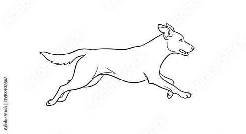 Line drawing of a dog in mid-stride, with a white background