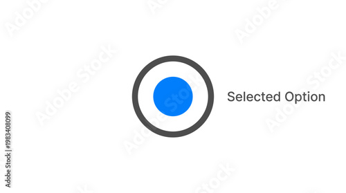 Blue Circle Selected Option Icon.