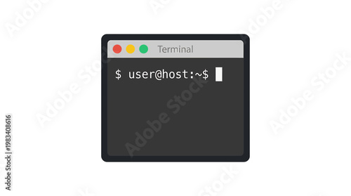 Computer terminal with user prompt.
