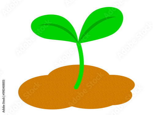 	発芽する芽と双葉のイラスト素材3