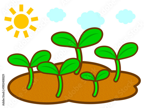 	発芽する芽と双葉のイラスト素材