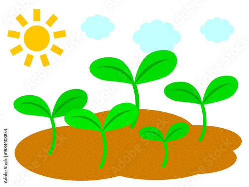 	発芽する芽と双葉のイラスト素材2