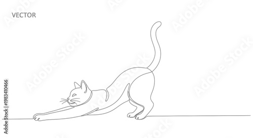 Continuous line drawing of a stretching cat on a white background