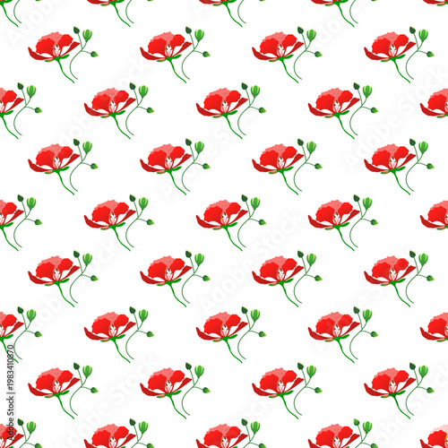 Seamless pattern of red phoenix flowers with green stems isolated on a transparent background