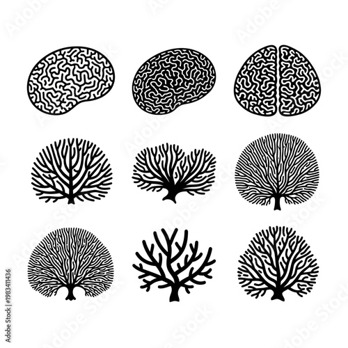 Brain and Tree Branch Silhouettes: Concept of Growth, Knowledge, and Nature