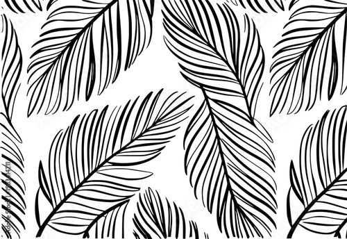 Black palm frond pattern white background, tropical leaf