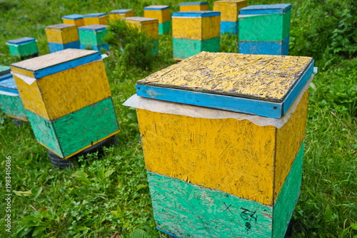 Wooden beehives for bees placed at the foot of the mountain area. Rainy spring weather.