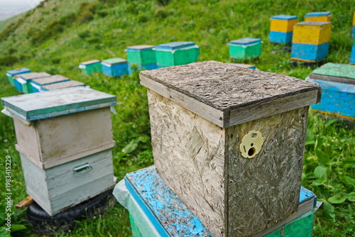 Wooden beehives for bees placed at the foot of the mountain area. Rainy spring weather.