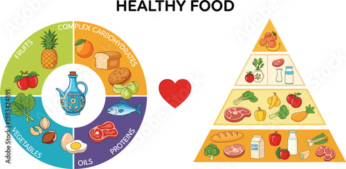 Healthy Food Pyramid and Food Groups with Fruits, Vegetables, Proteins, and Carbohydrates for Balanced Diet"