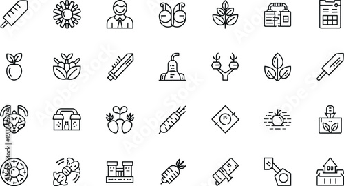 Agriculture and Farming Line Icons Set Organic Food Plant Growth Outline Vector Illustration Collection