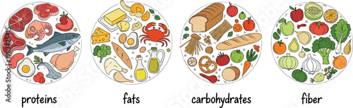 Illustration of Healthy Foods for a Balanced Diet Including Proteins, Fats, Carbohydrates, and Fiber"