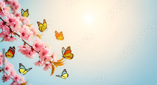 Pink cherry blossoms with flying butterflies against bright sunny sky.