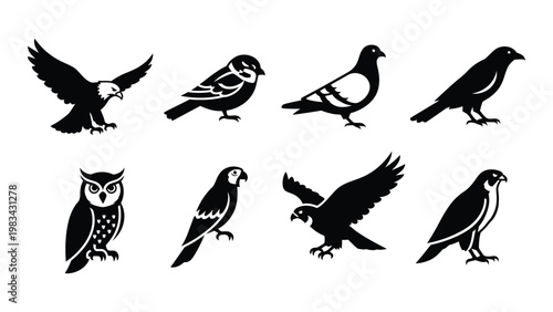 A collection of black silhouettes depicting various bird species in different poses and profiles high quality