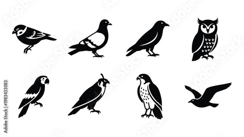 A collection of eight black silhouette bird icons featuring diverse species and wing positions high quality