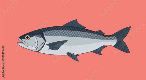 Sardine Fish Aquatic Life Seafood Ingredient.