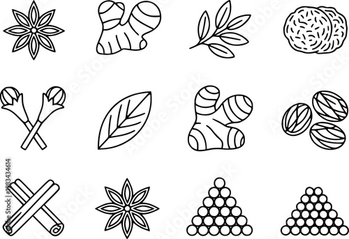 Collection of hand-drawn spice star anise, ginger, cloves, cinnamon, nutmeg, and bay leaf