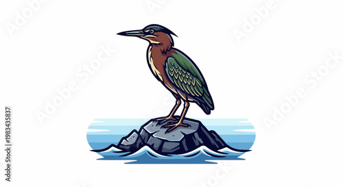Stylized green heron stands on a rock in blue water