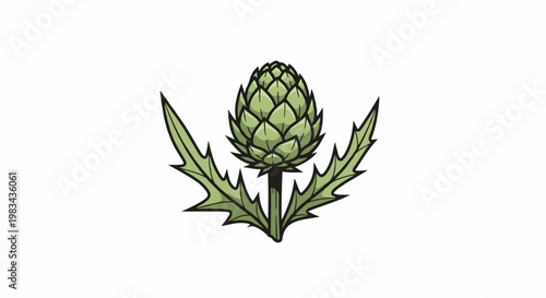 A stylized illustration of a single green artichoke with pointed leaves