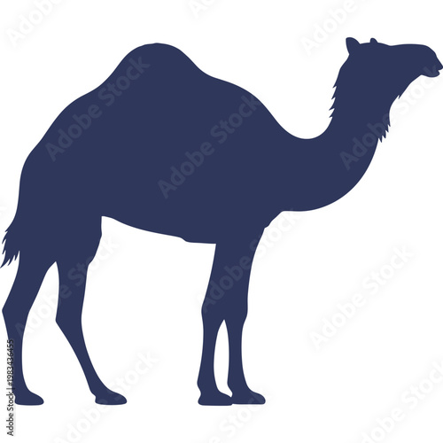 A dark blue silhouette of a camel walking across a desert landscape.