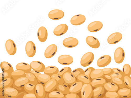 Scattered soybeans falling and piled, isolated white background, food