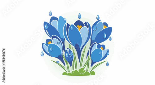 Vibrant blue crocuses with raindrops and green grass
