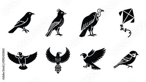 A collection of stylized black silhouettes depicting various bird species and a flying kite high quality
