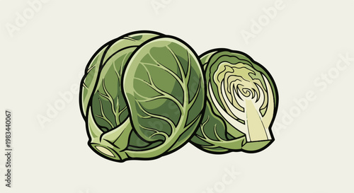 Close-up of two fresh green cabbage halves with detailed leaf veins