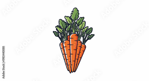 Bunch of orange carrots with green leafy tops, stylized