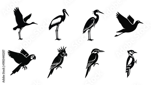 A collection of black silhouette birds including cranes parrots and woodpeckers displayed in a grid