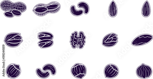 Collection of hand drawn nut and seed illustrations on a white background