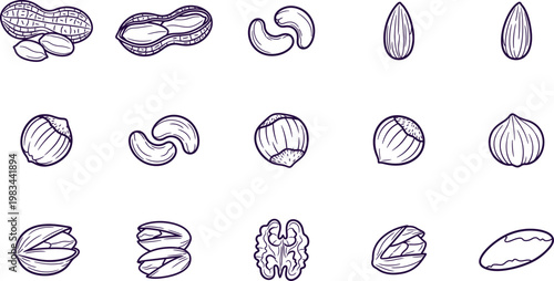Collection of hand drawn nut and seed illustrations on a white background