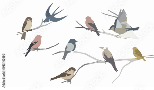 Minimalist hand drawn birds on tree branches vector with natural flowing composition isolated on white