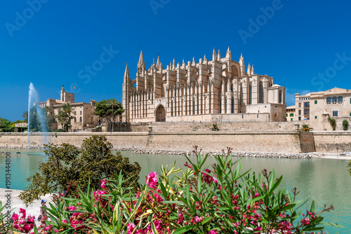 La Seu Cathedral in Palma de Mallorca with Parc de la Mar in the foreground - 1812
