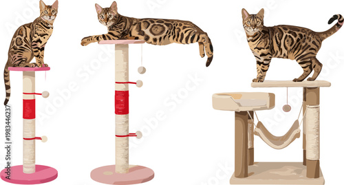 Cat Scratching Post Set with Bengal Cats on Scratching Towers and Play Structures for Pet, Animal, and Cat Furniture Design Themes