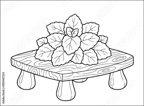 Peppermint coloring page for kids with fresh herbal leaves on a stand