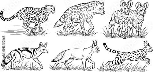 African Carnivorous Wildlife Illustration Set with Cheetahs, Hyenas, Foxes, and Wildcats in the Grasslands