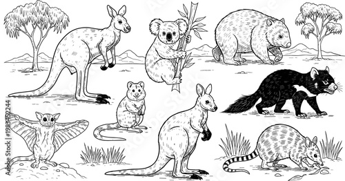 Australian Wildlife Animals Illustration Set with Kangaroo, Koala, Wombat, and Other Native Creatures in the Outback