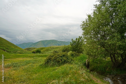 A tree in the hollow of a small hill with a low-lying river. Rainy spring weather