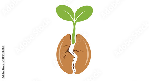 Small green plant sprouting from seed.