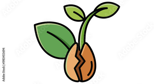 Small sprouting seedling with green leaves.