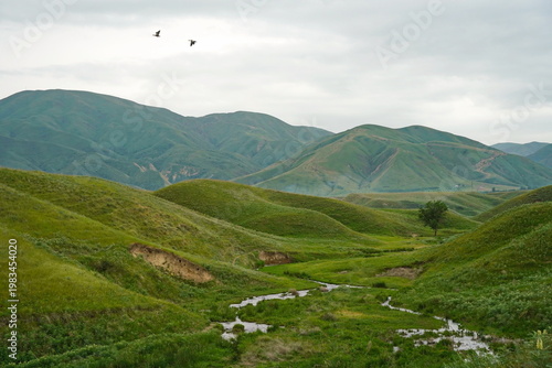A tree in the hollow of a small hill with a low-lying river. Rainy spring weather