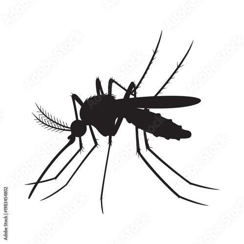 A detailed silhouette of a mosquito showcasing its slender body and delicate wings