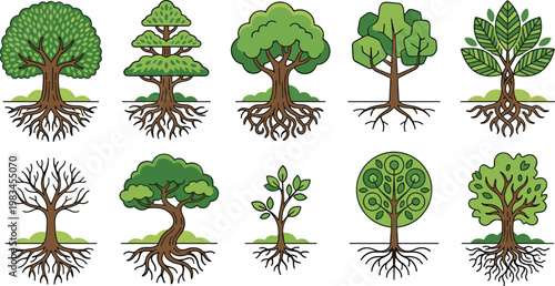 Tree Root System Icon Set Nature Growth Ecology Life Concept Botanical Vector Collection