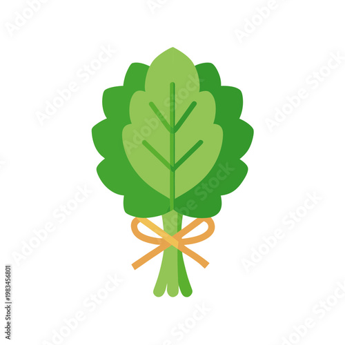 Green spinach bunch tied with orange ribbon vector illustration representing fresh farm produce