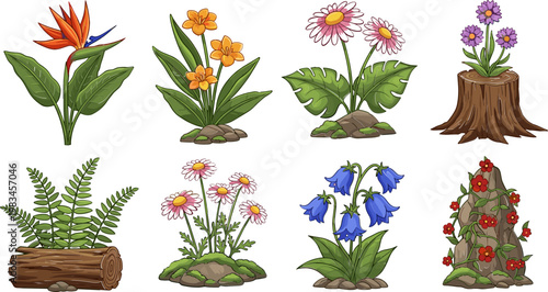 Colorful Flower and Plant Collection Set with Tropical, Daisy, Fern, Bellflower, and Wildflower Illustrations for Gardening and Nature Designs
