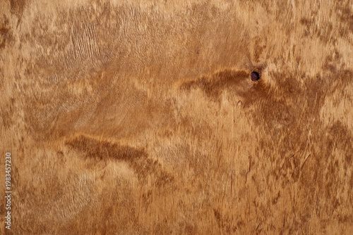 Canvastavla Natural wood texture background with organic grain patterns and a single dark knot, warm brown timber surface