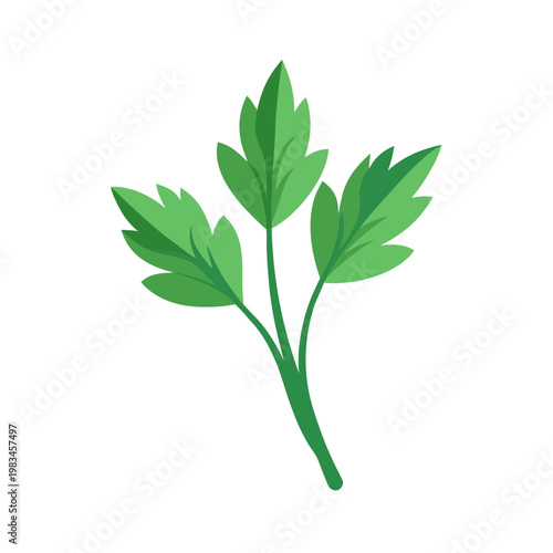 Single parsley sprig with three green leaves simple illustration isolated