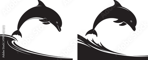 Two black silhouette dolphins leaping from ocean waves with black and white background creature silhouette breaching energetic wildlife movement illustration isolated underwater