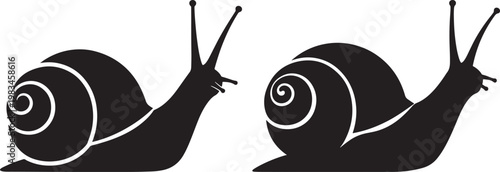 Two black snails silhouettes with black and white line art white background animal kingdom wild fauna garden pest leaf eater gastropod wildlife creature silhouette illustration isolated